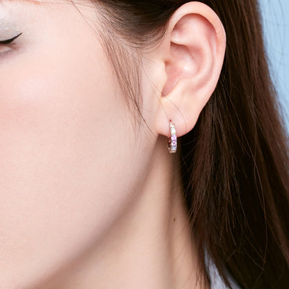 [Polaidi Jewelry]Radiant Colorful Round Cut Earrings